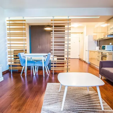 Luxury Mall Area Apartment *